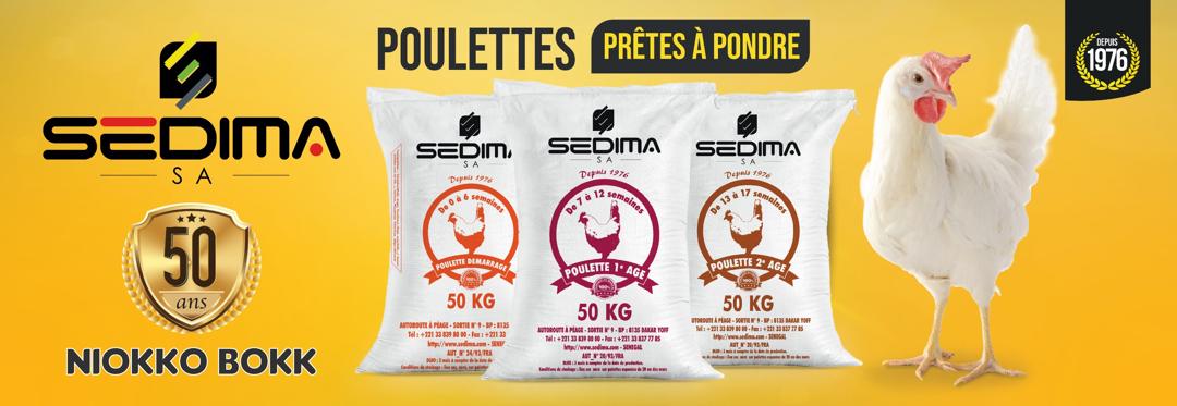 Aliments Ponte